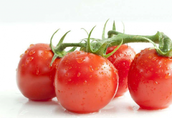 番茄的4个“营养搭档” 